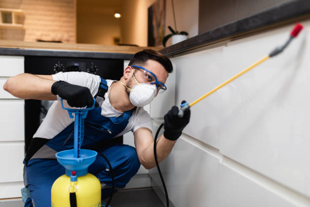 Best Pest Inspection Near Me  in Berthoud, CO