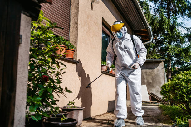 Best Best Pest Control Companies  in Berthoud, CO