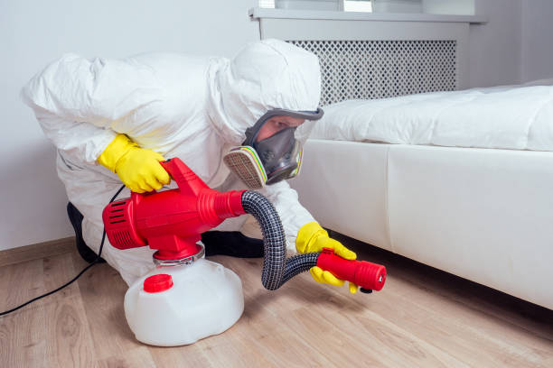 Best Affordable Pest Control Services  in Berthoud, CO