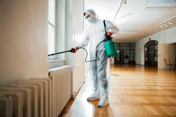 Best Termite Control Services  in Berthoud, CO